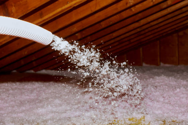 Best Cellulose Insulation in Hudson, NC