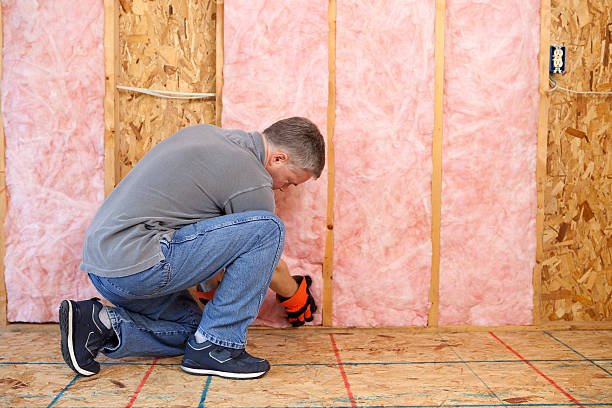 Best Specialized Insulation Services in Hudson, NC
