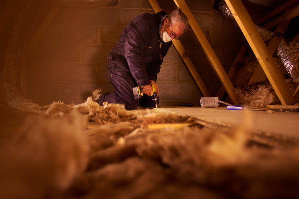 Best Commercial Insulation in Hudson, NC